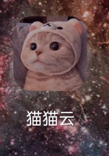 猫猫云加速器
